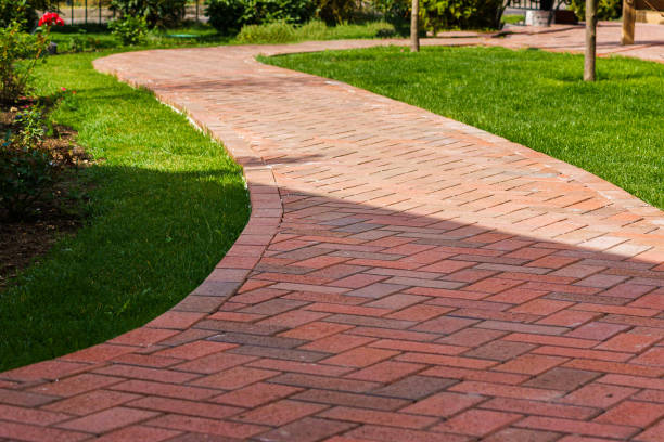 Best Driveway Repair Near Me  in Cokato, MN